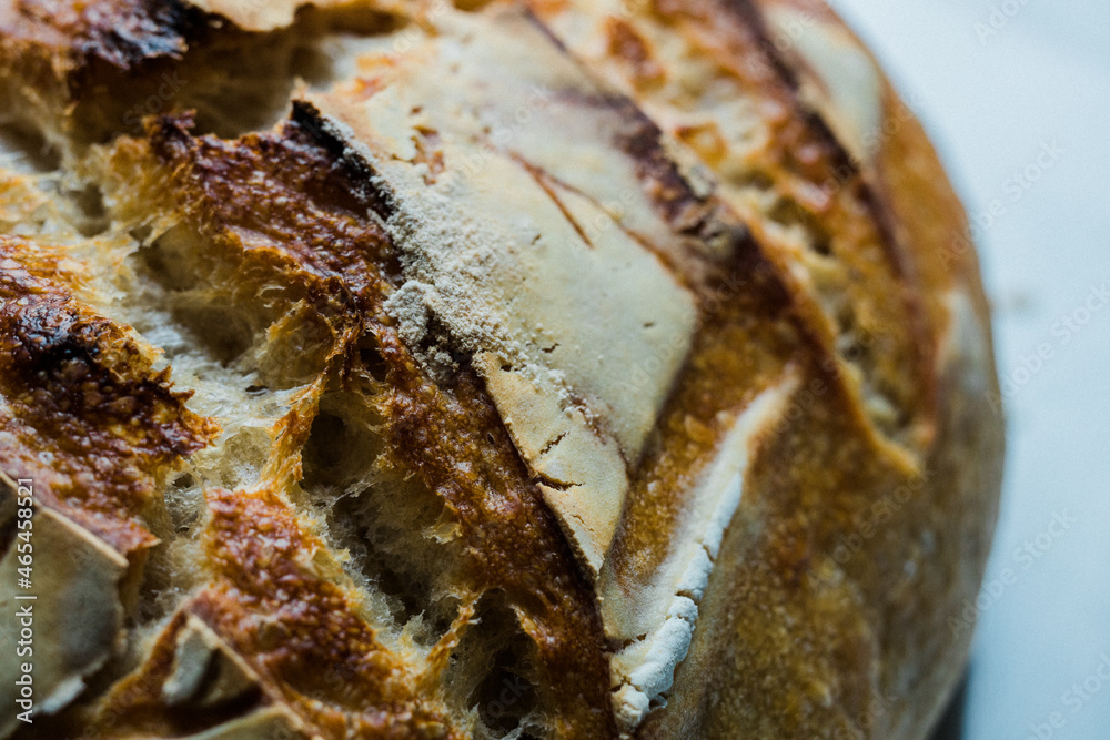 custom made wallpaper toronto digitalsourdough