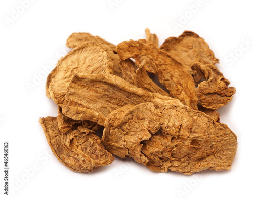 chicory root isolated on white background
