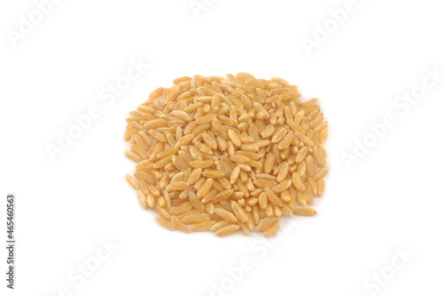 Khorasan Wheat isolated on white background