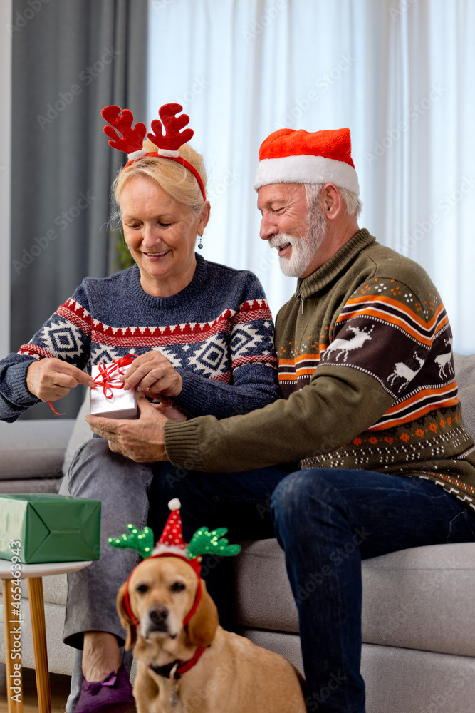 Fototapeta premium Senior elderly couple wrapping Christmas presents together at home with their yellow dog wearing Santa hats