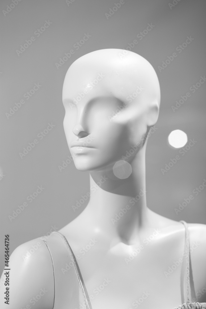 mannequins inside a fashion house In glass mannequins inside a fashion house In glass