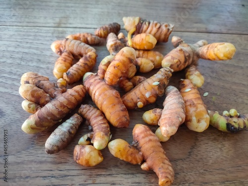 Root fresh turmeric