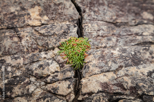 Photography Tenacious