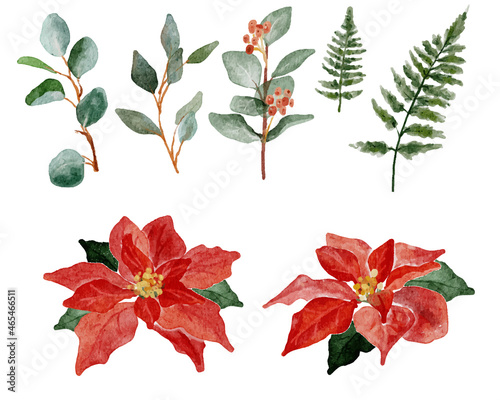 watercolor christmas poinsettia flower bouquet elements collection