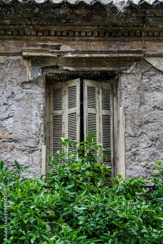 Old vintage wood closed window in an old house with green plants in front.
