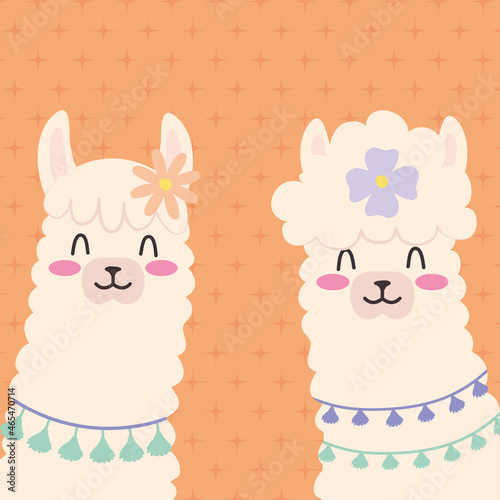 fluffy llamas illustration