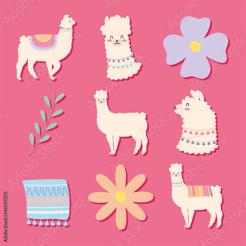 cute llamas and flowers