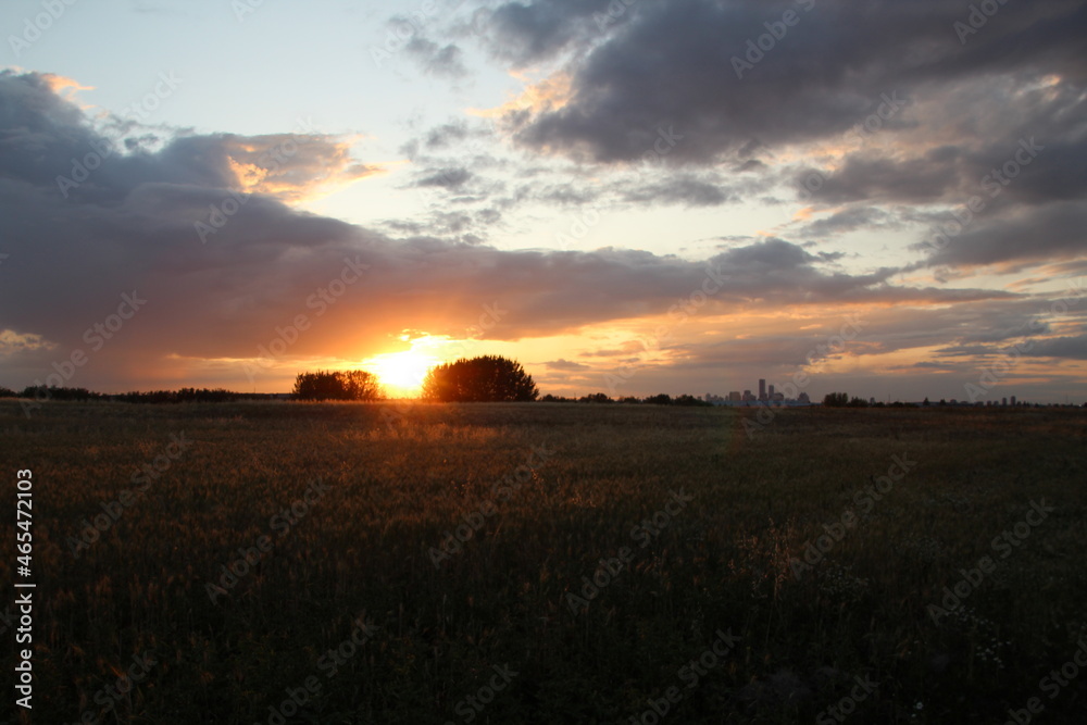 sunset in the field