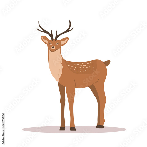 Cute noble sika deer. Reindeer with antlers on white background. Ruminant mammal animal. Vector illustration in flat cartoon style.