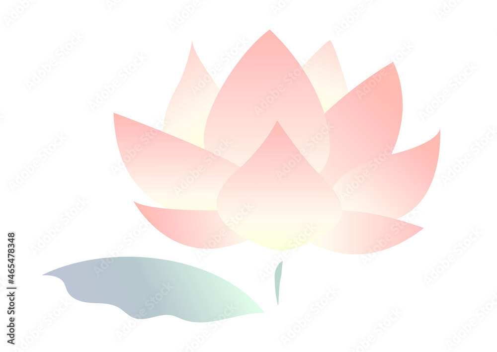 Fototapeta premium 一本の蓮の花と葉のイラスト 