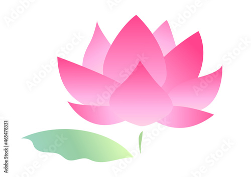 一本の蓮の花と葉のイラスト
