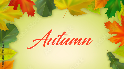 Autumn maple and oak leaves with inscription Autumn on color background. Autumn composition of realistic color fall leaves. Vector illustration