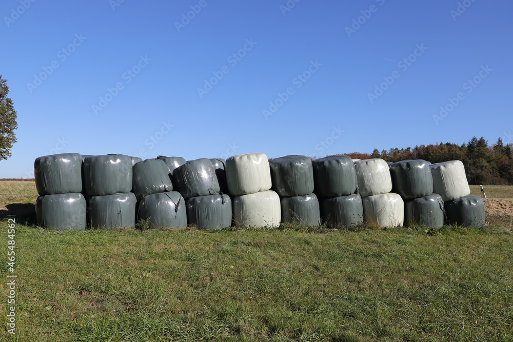 around many white silo bales lie on a meadow