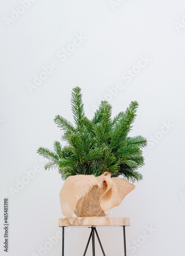 A bouquet of fresh spruce branches on a wooden stool on a white background. Minimalistic Christmas composition made of natural materials