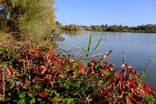 
paysage sur étang dombes ain automne photo