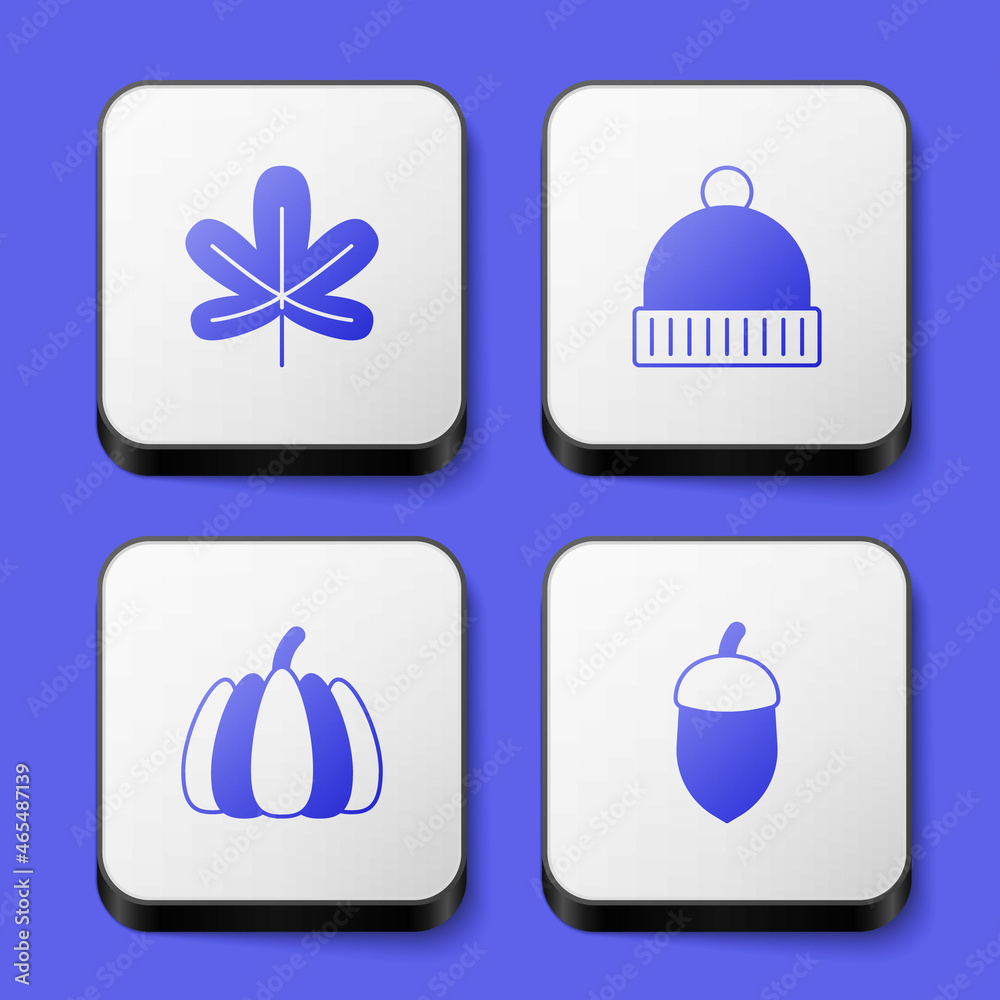 Set Chestnut leaf, Winter hat, Pumpkin and Acorn icon. White square button. Vector Set Chestnut leaf, Winter hat, Pumpkin and Acorn icon. White square button. Vector
