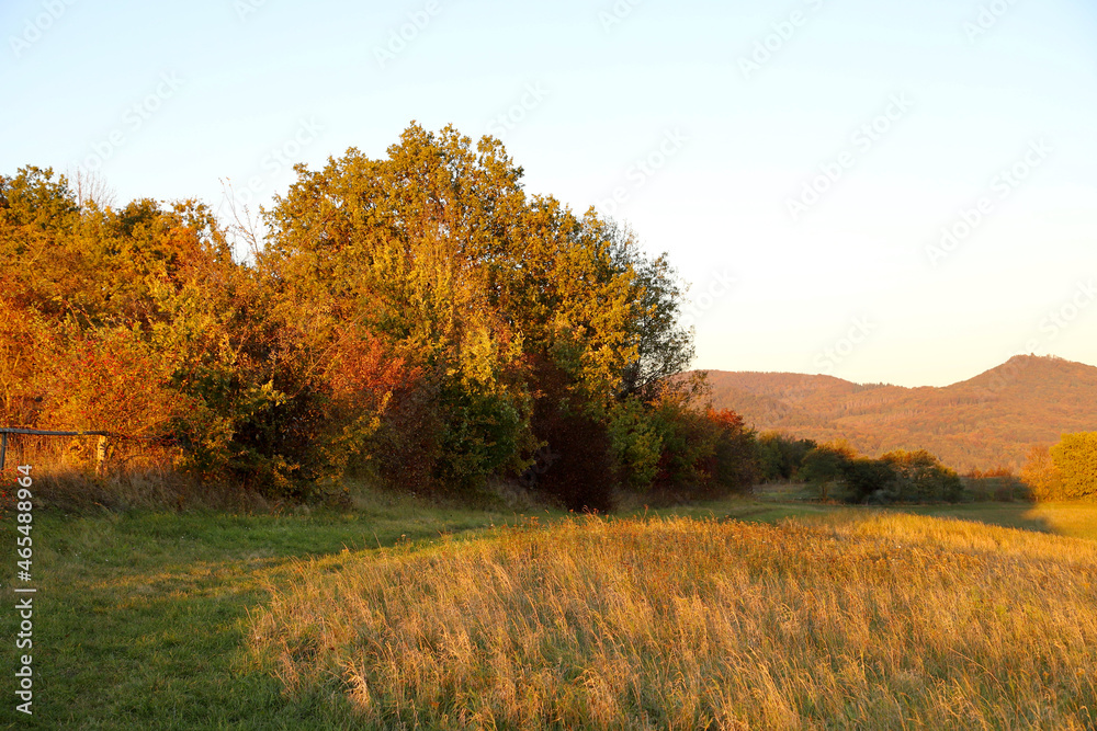Fototapeta premium Colorful autumn