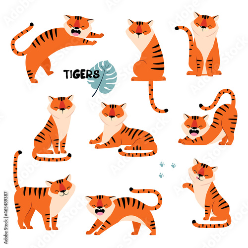 Striped Tiger with Orange Fur Sitting and Stretching Vector Set