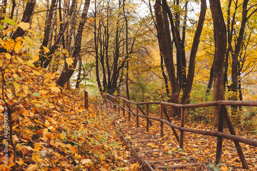 stairs in autumn park