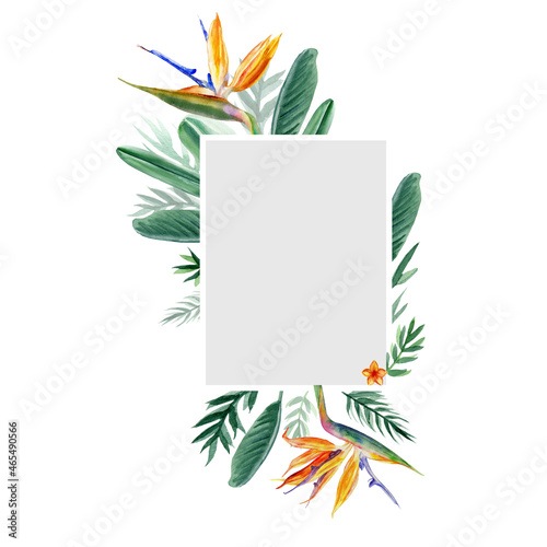 Decorative rectangular frame Bird of paradise flower, watercolor Strelitzia reginae, crane flower hand drawn botanical illustration isolated on white backdrop, exotic tropical plant branch Strelicia photo