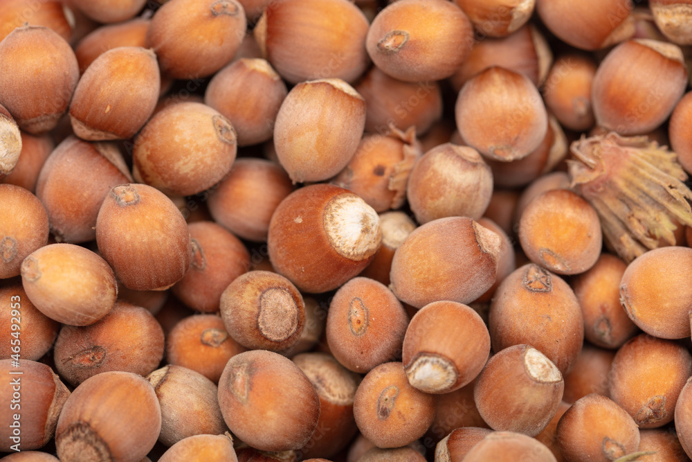 Fresh hazelnuts as an abstract background.