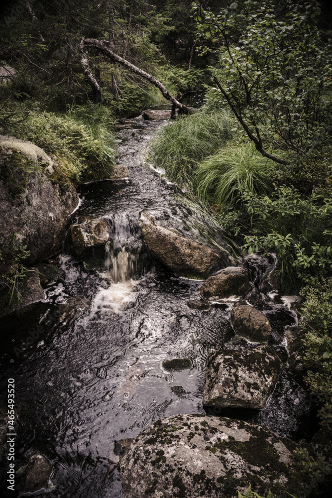 Skillebekken Brook at Fjellsjøkampen Nature Reserve up in the Totenåsen Hills, Norway. Skillebekken Brook at Fjellsjøkampen Nature Reserve up in the Totenåsen Hills, Norway.