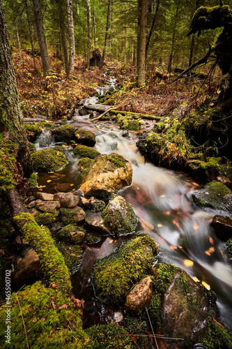 Beautiful autumn colors in the creek