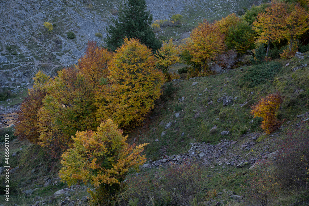 autumn landscape in northern spain