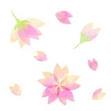 美しい水彩画の桜の素材セット
