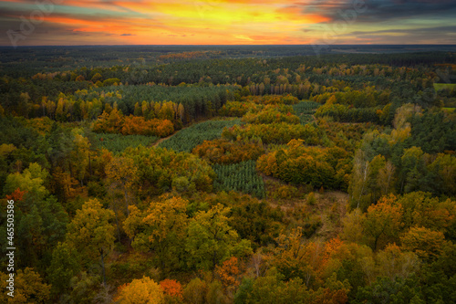 Autumnal landscape of the Tuchola forest at sunset, Poland