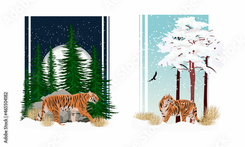 Vector compositions with realistic tiger Panthera tigris in winter. The tiger walks through the snow past the fir trees and the big moon. The tiger is standing in the snow near the pine trees. 2022