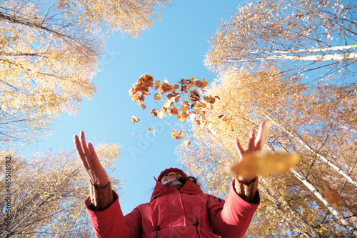 A Woman in A Red Jacket Throws Yellow Leaves. Autumn Landscape