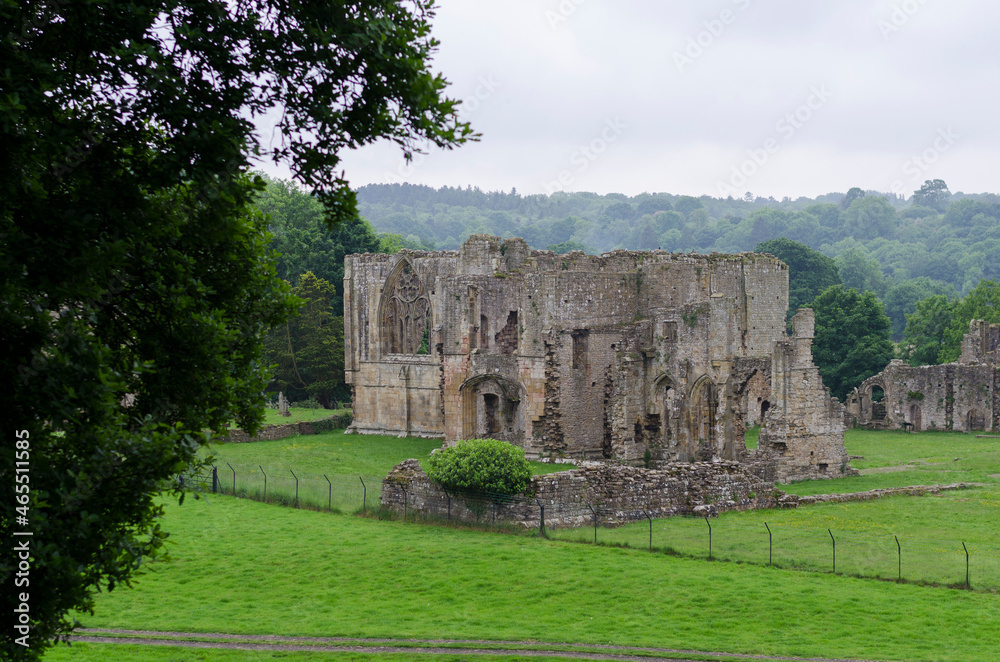 ruins of castle