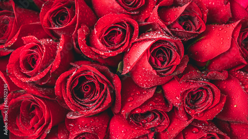 Natural red roses texture background Beautiful Rose texture for cover or banner background Love romantic background.