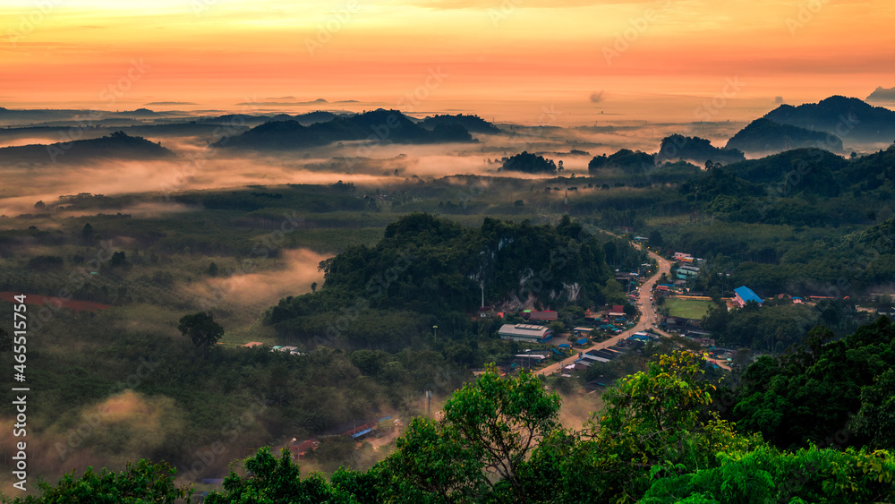 Natural blurred background of fog scattered among trees in the morning, with soft sunlight from the sun, seasonal beauty. Natural blurred background of fog scattered among trees in the morning, with soft sunlight from the sun, seasonal beauty.