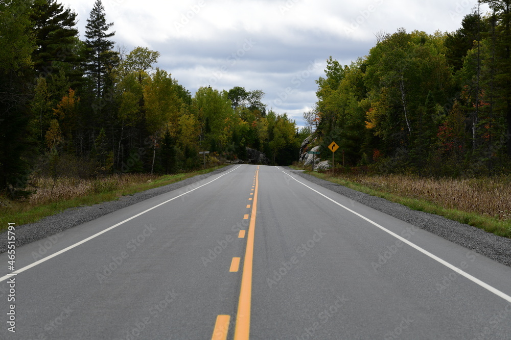 road in the woods