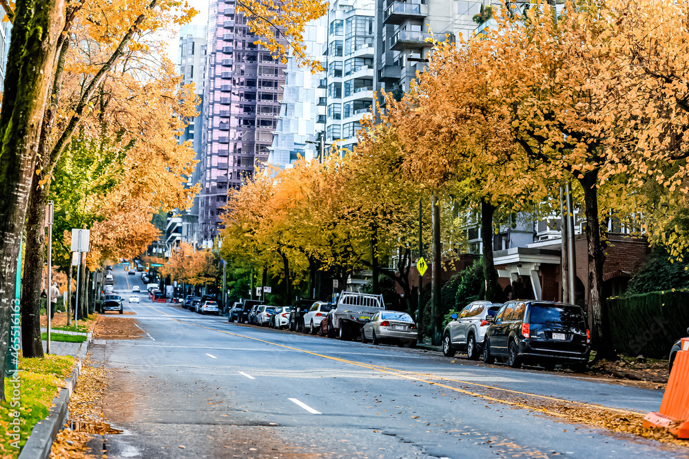 autumn in the city autumn in the city