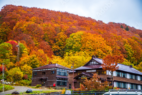 青森県　秋の酸ヶ湯温泉郷 photo