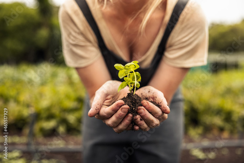 Young woman holding a green plant growing in soil photo