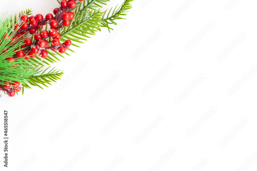 Christmas tree twig with red berries on a white background, copy space