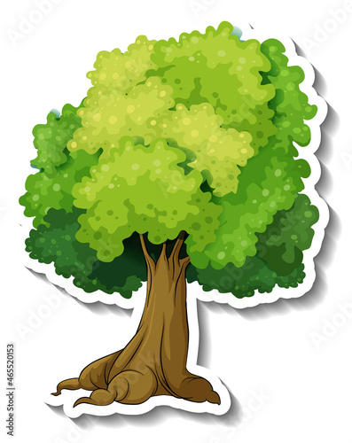 Tree sticker on white background