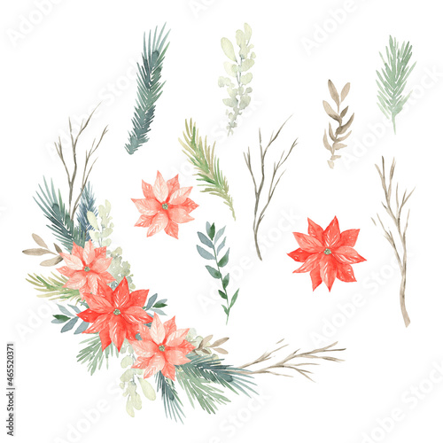 Watercolor christmas illustration christmas tree branch flowers photo