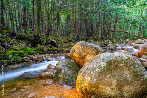 Along the Kancamagus Highway and the swift river photo