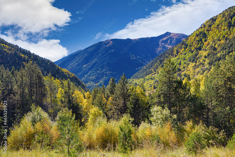 View of a forest with high mountains in the background where the bushes and trees present ocher colors in the middle of autumn View of a forest with high mountains in the background where the bushes and trees present ocher colors in the middle of autumn