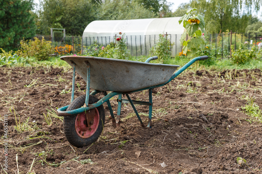 wheelbarrow standing in the garden. Harvesting potatoes. wheelbarrow standing in the garden. Harvesting potatoes.