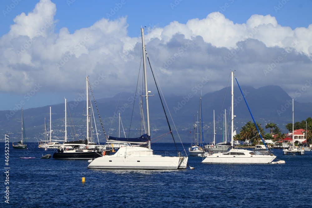 Guadeloupe - Les Saintes islands. Terre de Haut marina mooring buoys.