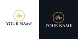 Letter N ornament luxury logo design