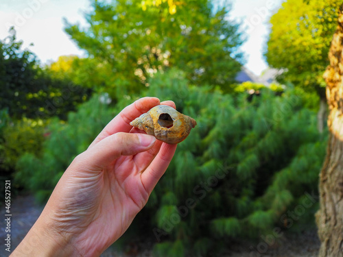 Holding a seashell with a hole in the middle