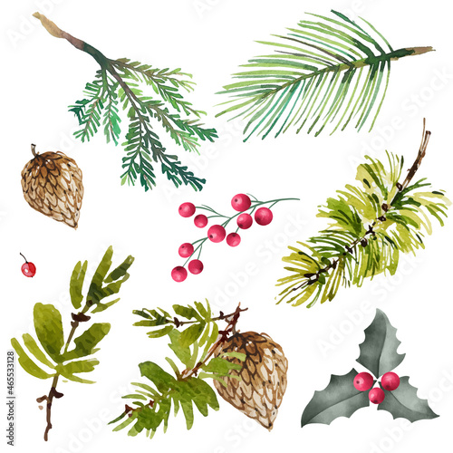 Vector element designer collection set of green natural forest pine trees fir needles branches of greenery, berries, cones, mistletoe are hand-painted in watercolor style.