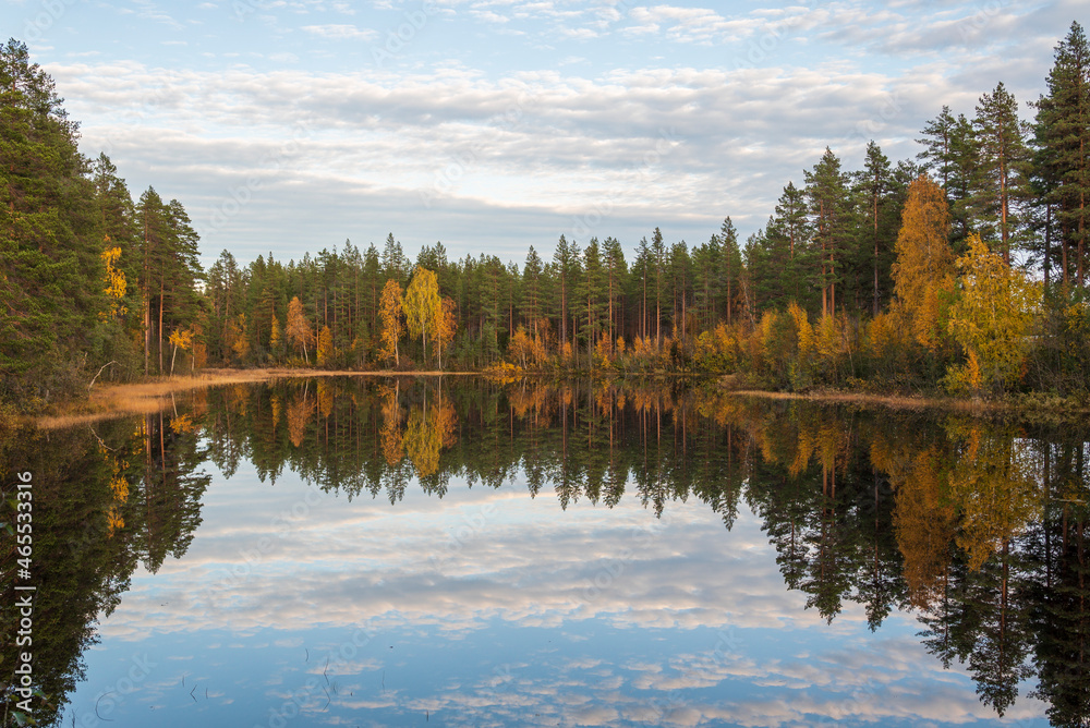 Autumn forest reflects in water. Autumn forest reflects in water.